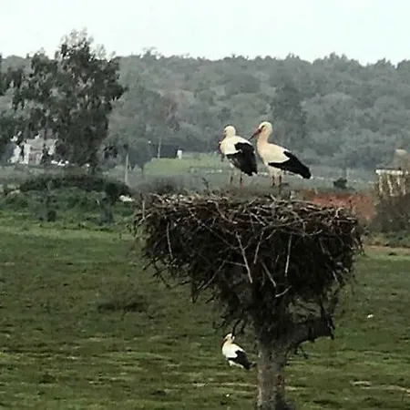 Quinta De Santo Antonio Ac1 Lagos